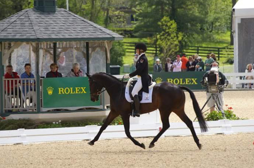Photo of Tucker in Dressage ring at Rolex 2011